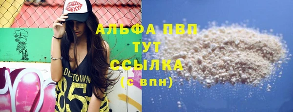 молекула духа Ладушкин