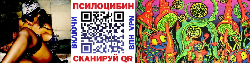 Купить закладки  Чердынь  Псилоцибиновые грибы Magic Shrooms 
