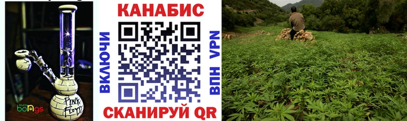 Купить где  Чердынь  Канабис планчик 